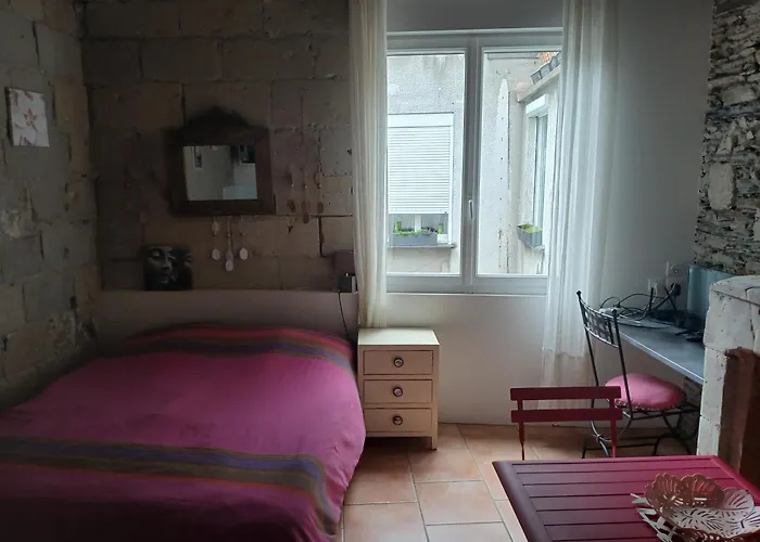 1 Hyper Centre Avec Jardins Angers